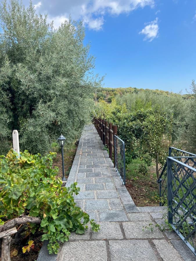 Terre Villa Katia Santa Maria di Licodia Eksteriør billede