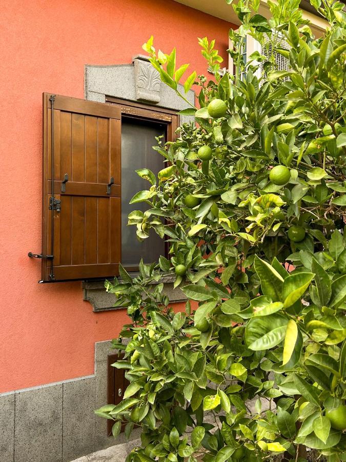 Terre Villa Katia Santa Maria di Licodia Eksteriør billede